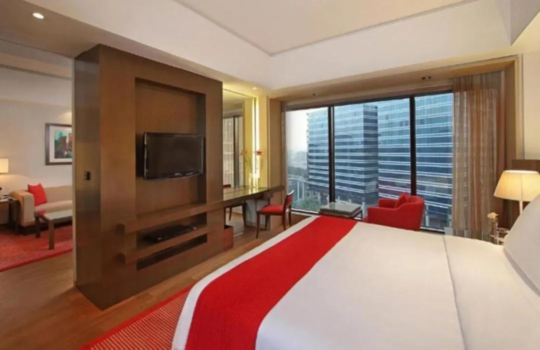 Hotel Luxury Villa Near Delhi Airport-1